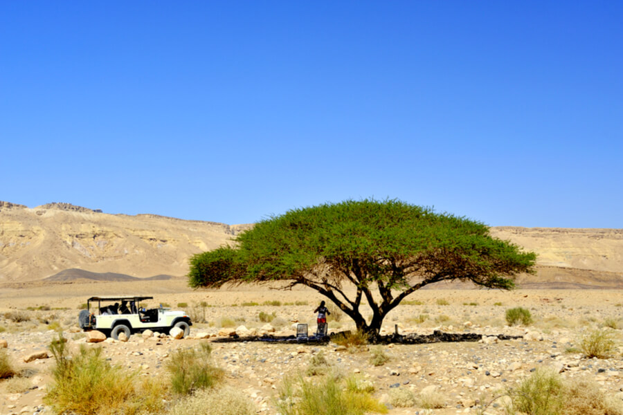 Judean Desert Jeep Tour aerial view of desert road winding through the Israeli wilderness