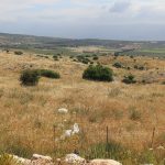 Green landscape at the foot of Mount Hermon near Banias in northern Israel