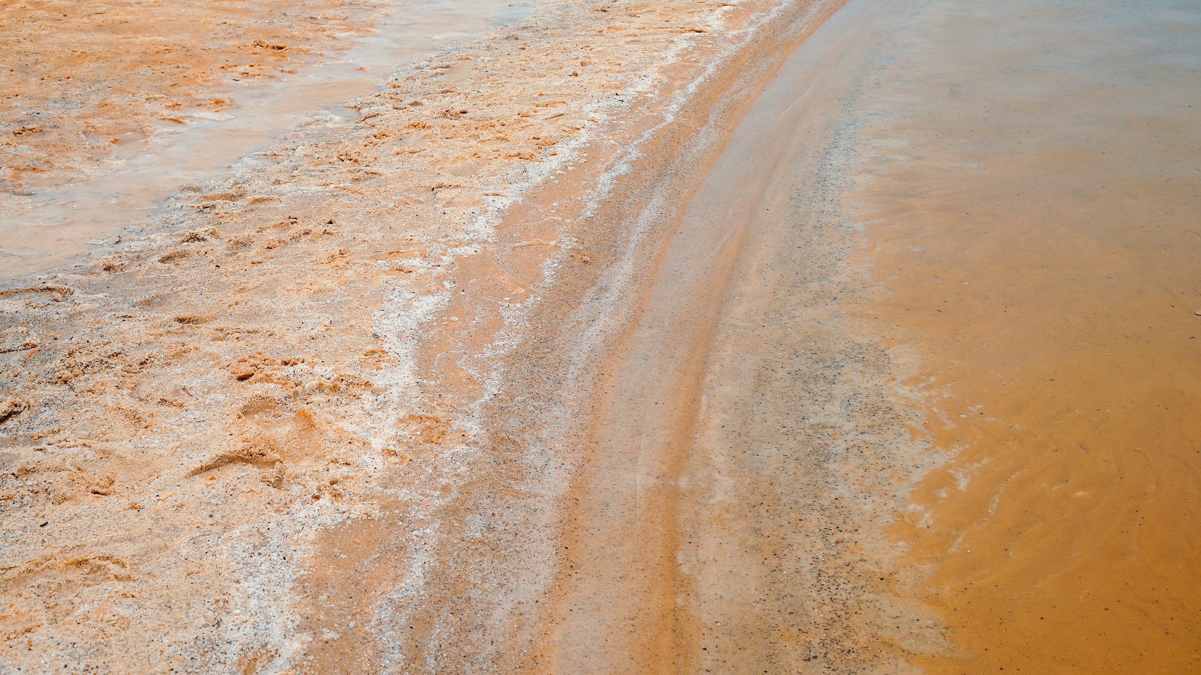 White salt formations along the shore of the Dead Sea in Israel