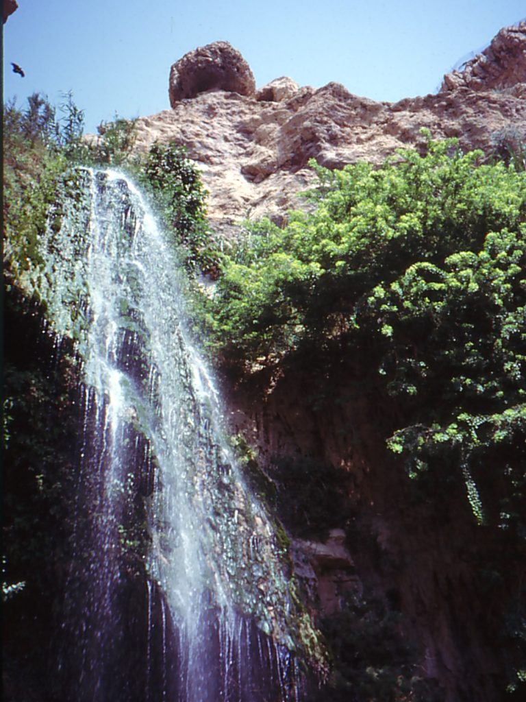 Ein Gedi: The Complete Guide to Israel’s Desert Oasis