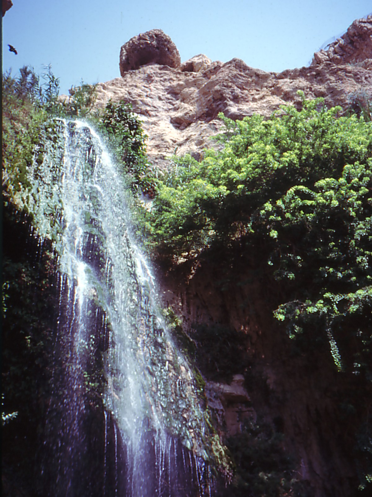 A waterfall in the Ein Gedi nature reserve oasis near the Dead Sea