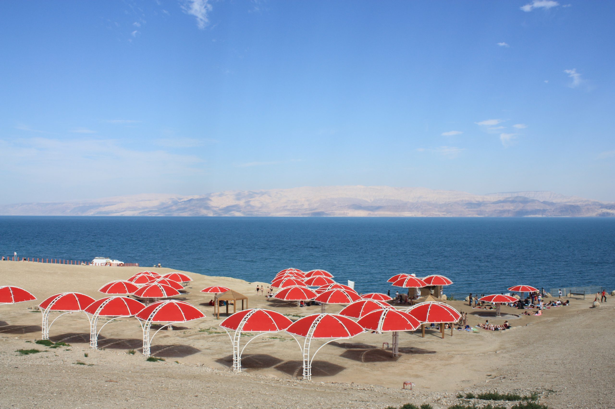 The Ein Gedi oasis and shoreline beside the Dead Sea