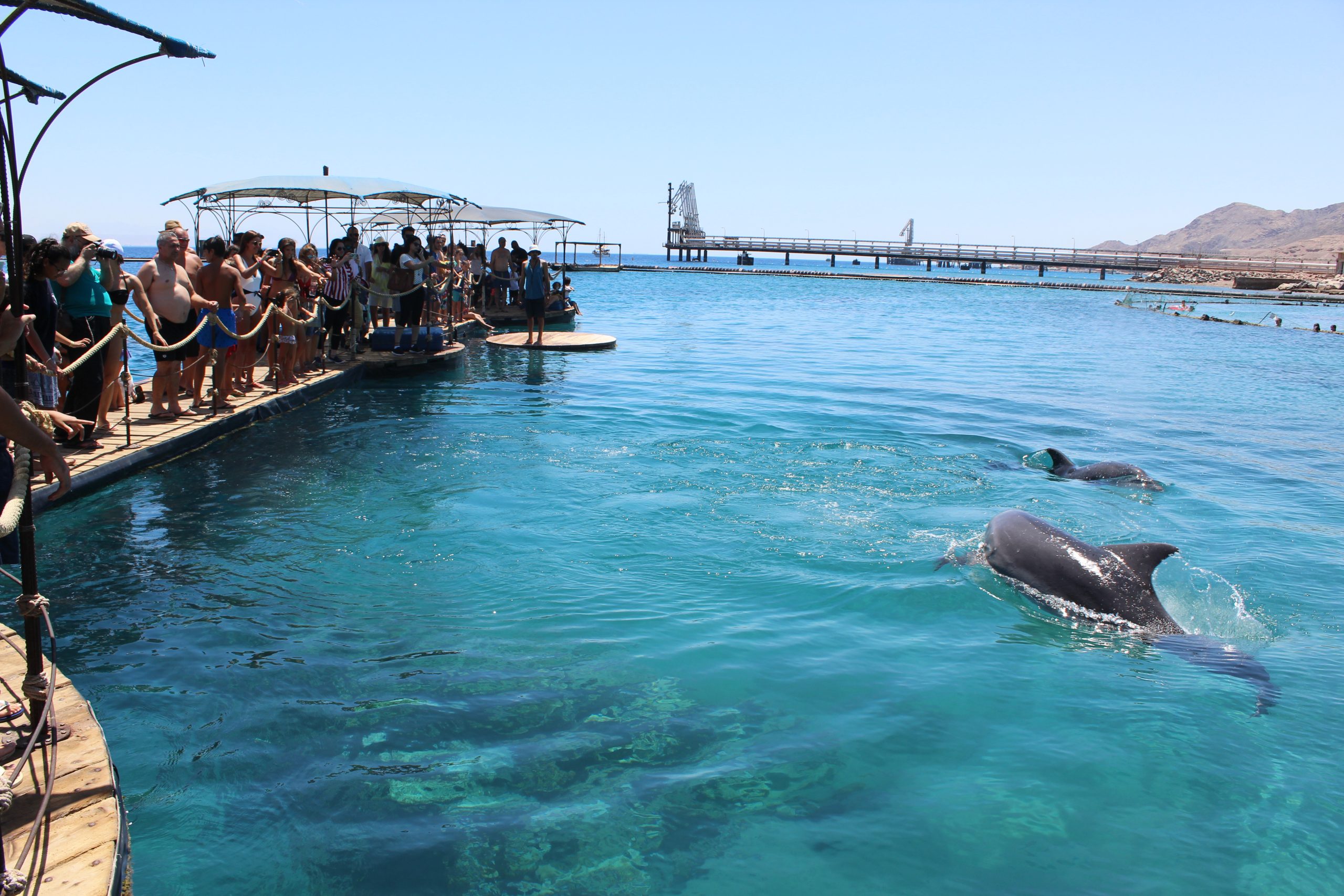 Dolphin Reef on the Red Sea shore in Eilat with a secluded beach