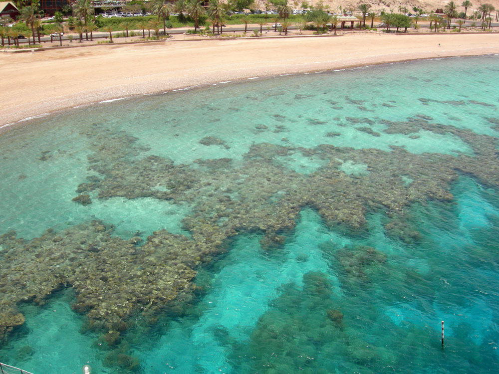 The fringing coral reef just off the shore in the Red Sea at Eilat